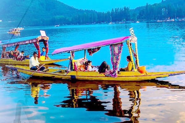 Golden Triangle with Kashmir tour
