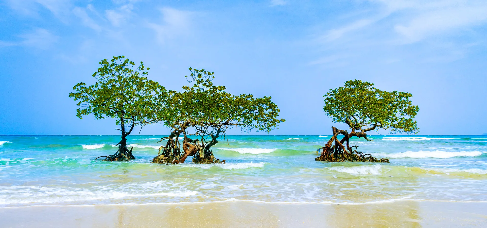 Andaman Discovery — Port Blair Highlights