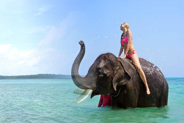 Andaman havelock island tour