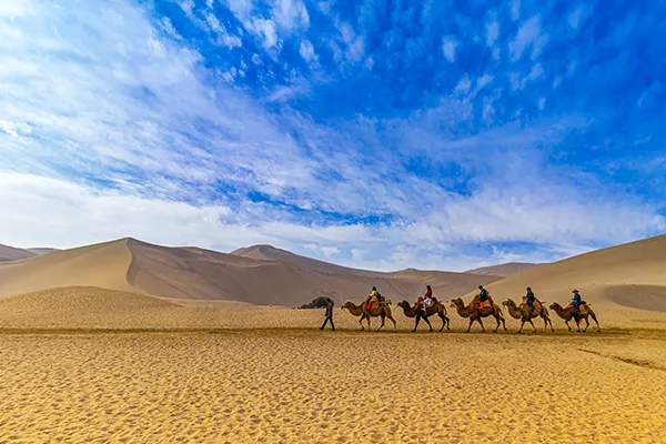 The Thar Desert