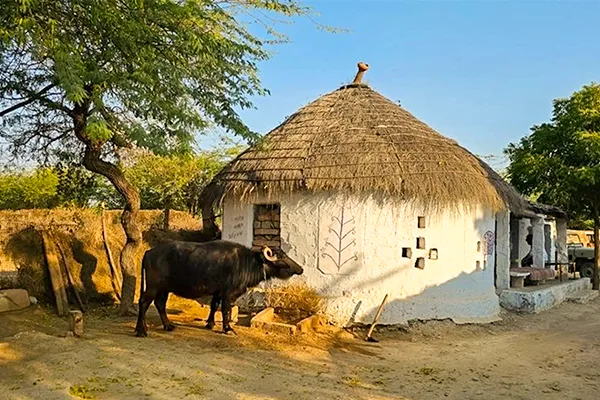 Bishnoi Villages