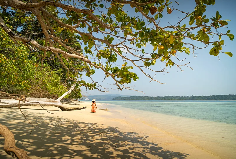 Andaman Islands landscape