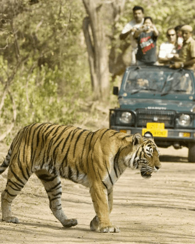 Jim Corbett National Park