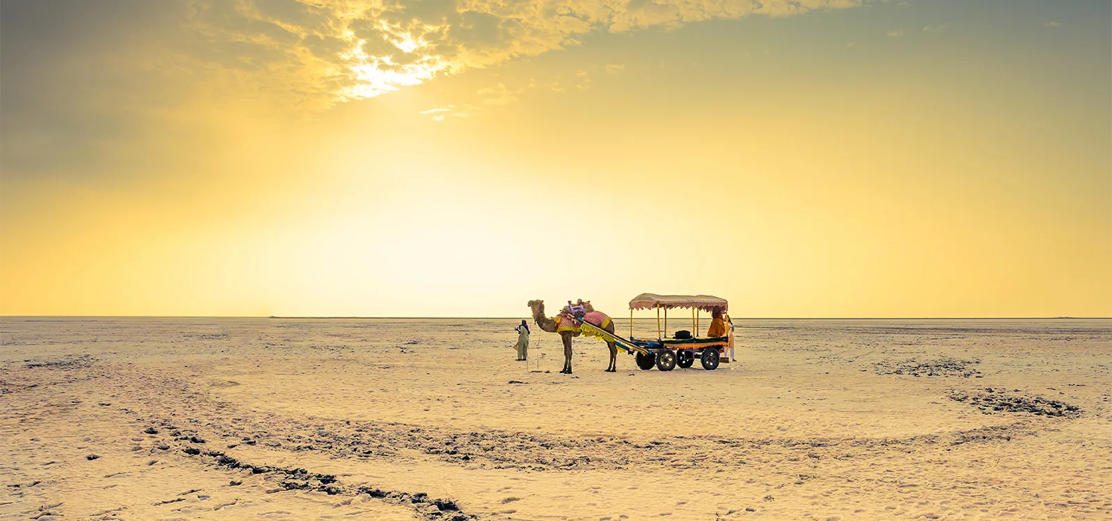 Tamil Nadu