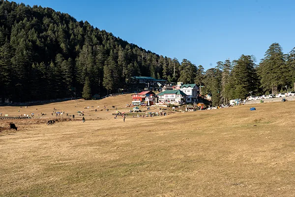 Dalhousie