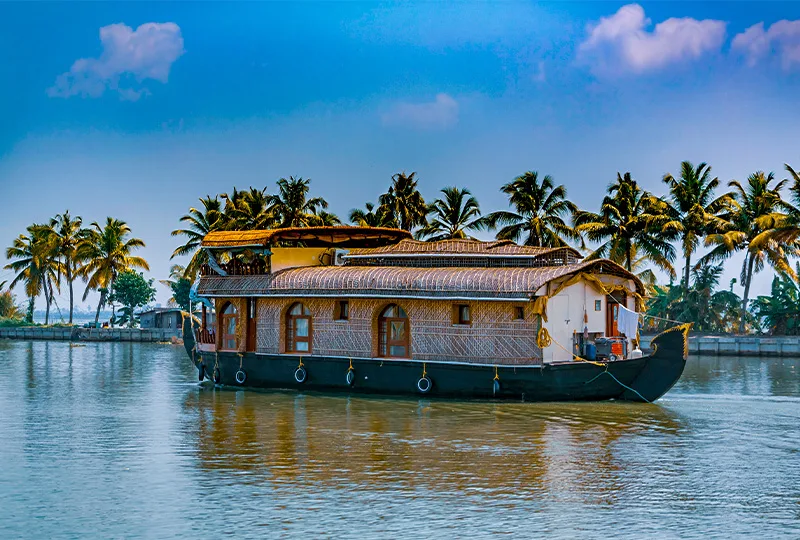 Kerala backwaters landscape