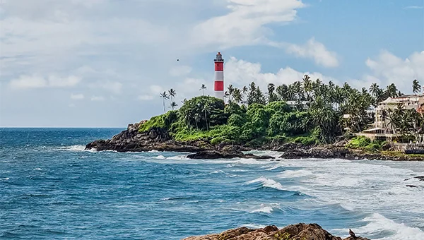 Kerala monsoon greenery