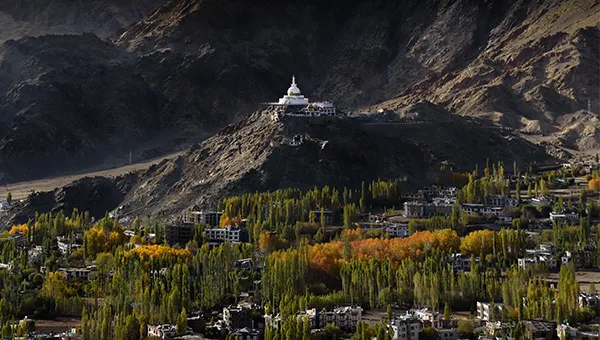 Leh palace