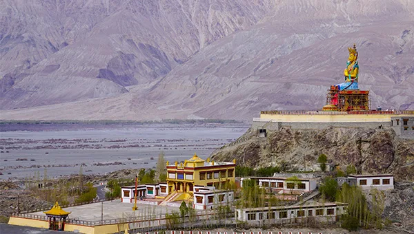 Nubra Valley dunes