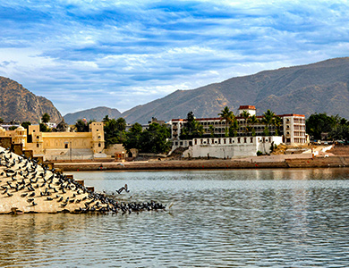 golden triangle with Pushkar