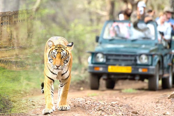 golden triangle with ranthambhore tour