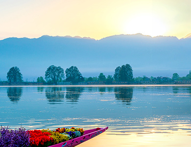 Golden Triangle and Kashmir Tour