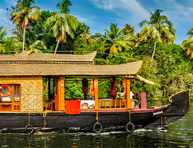 golden triangle with kerala tour