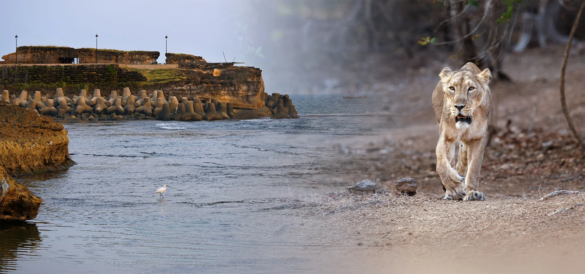 Gir & Diu