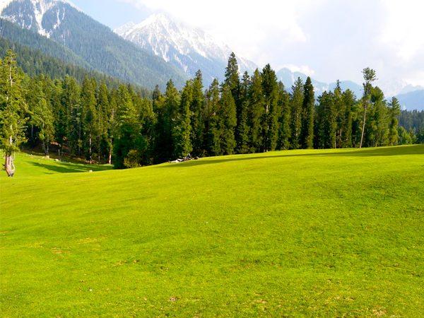 Baisaran Meadows