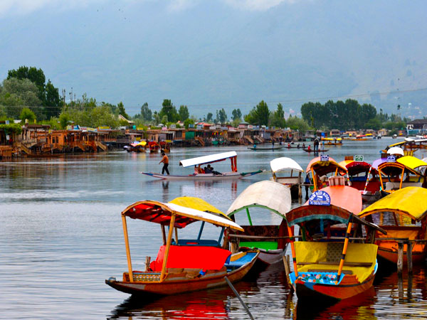 Shikara Ride Dal Lake