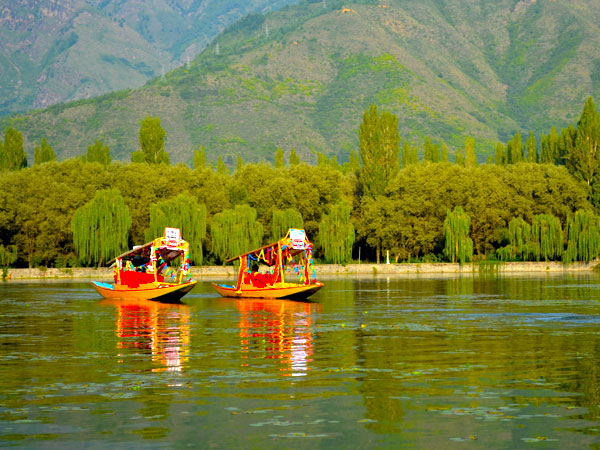 Shikara Ride Dal Lake