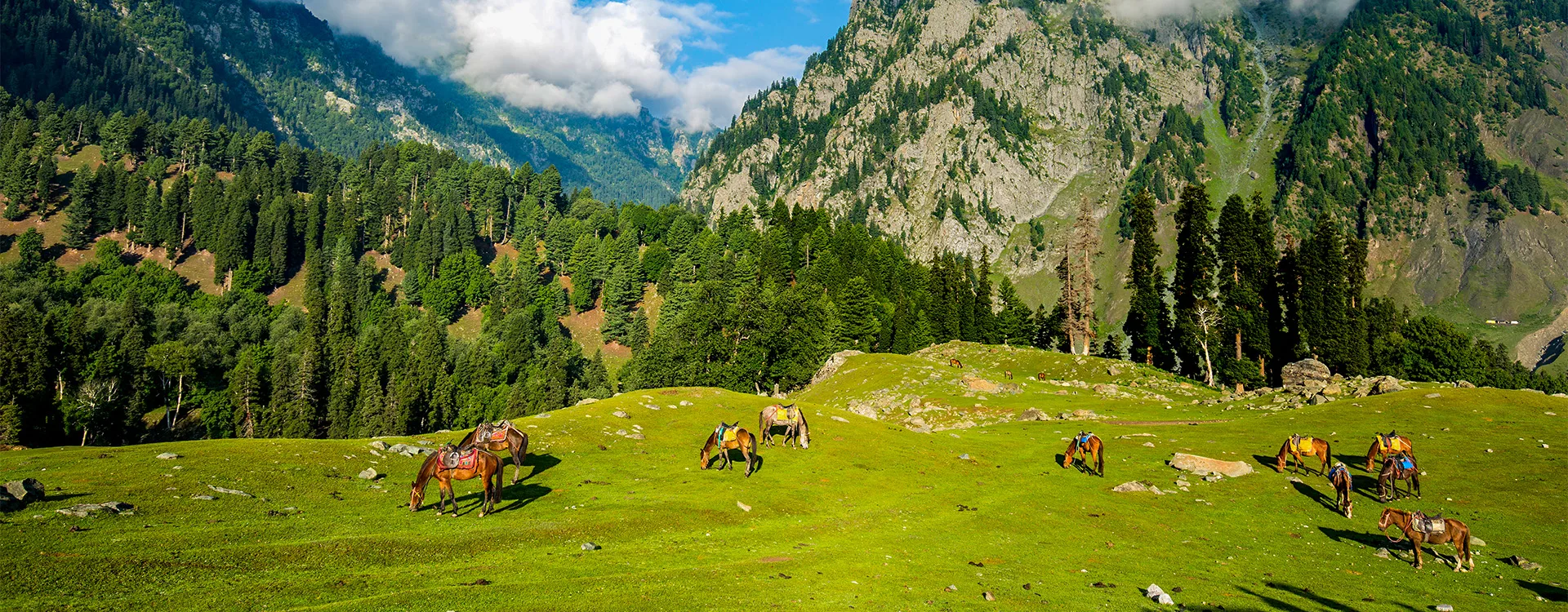 Kashmir Complete · 6 Days
