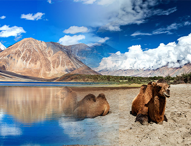 6 Days Ladakh Tour Package