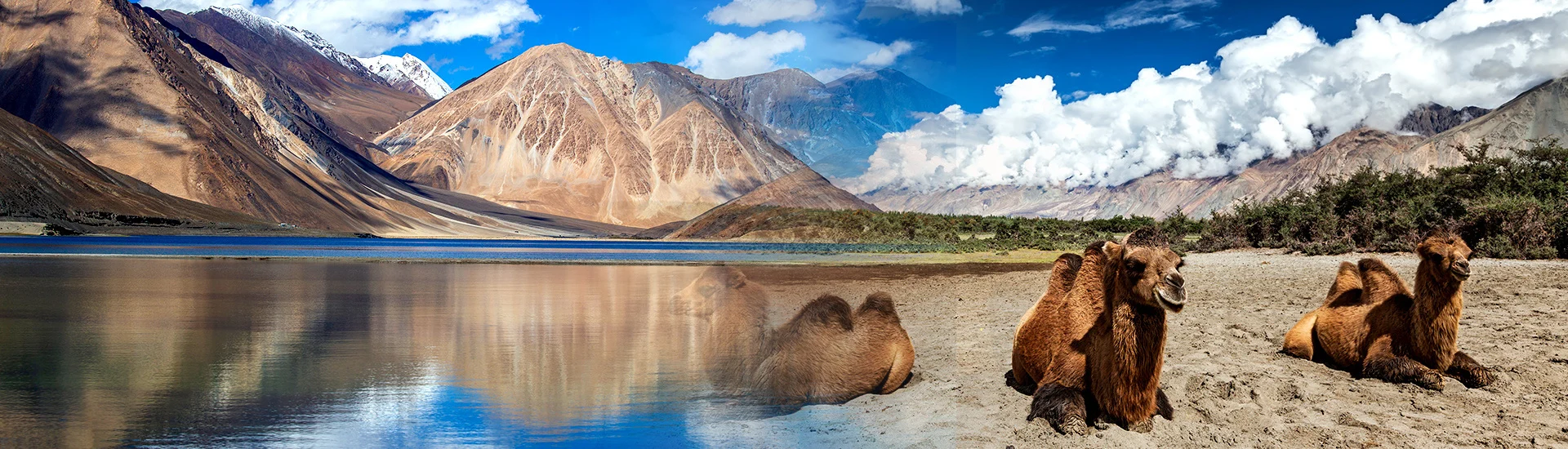 6 Days tour Leh with Nubra Valley and Pangong Lake