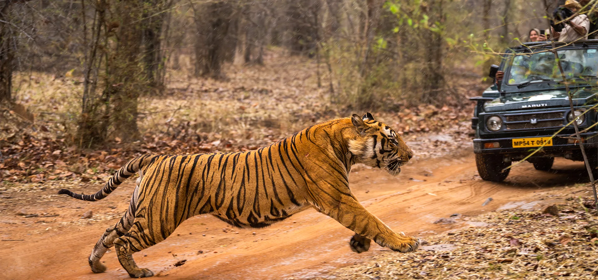 Bandhavgarh & Kanha — Tiger Trail