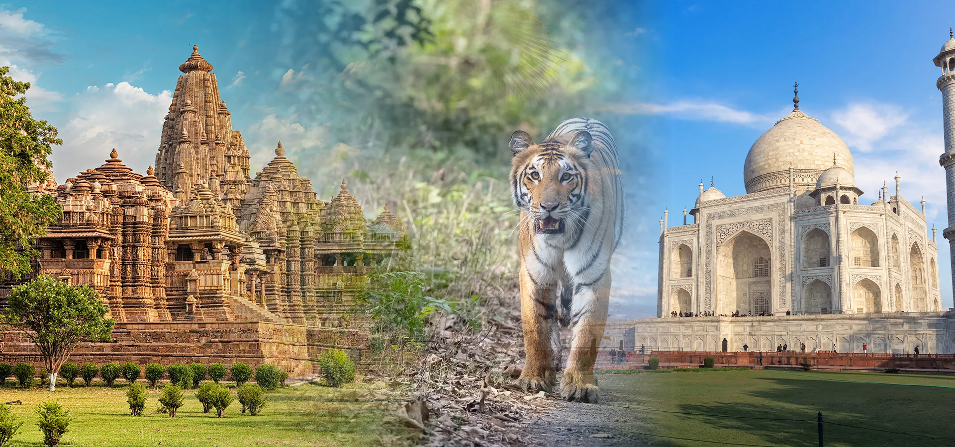 Kanha, Bandhavgarh, Khajuraho & Agra