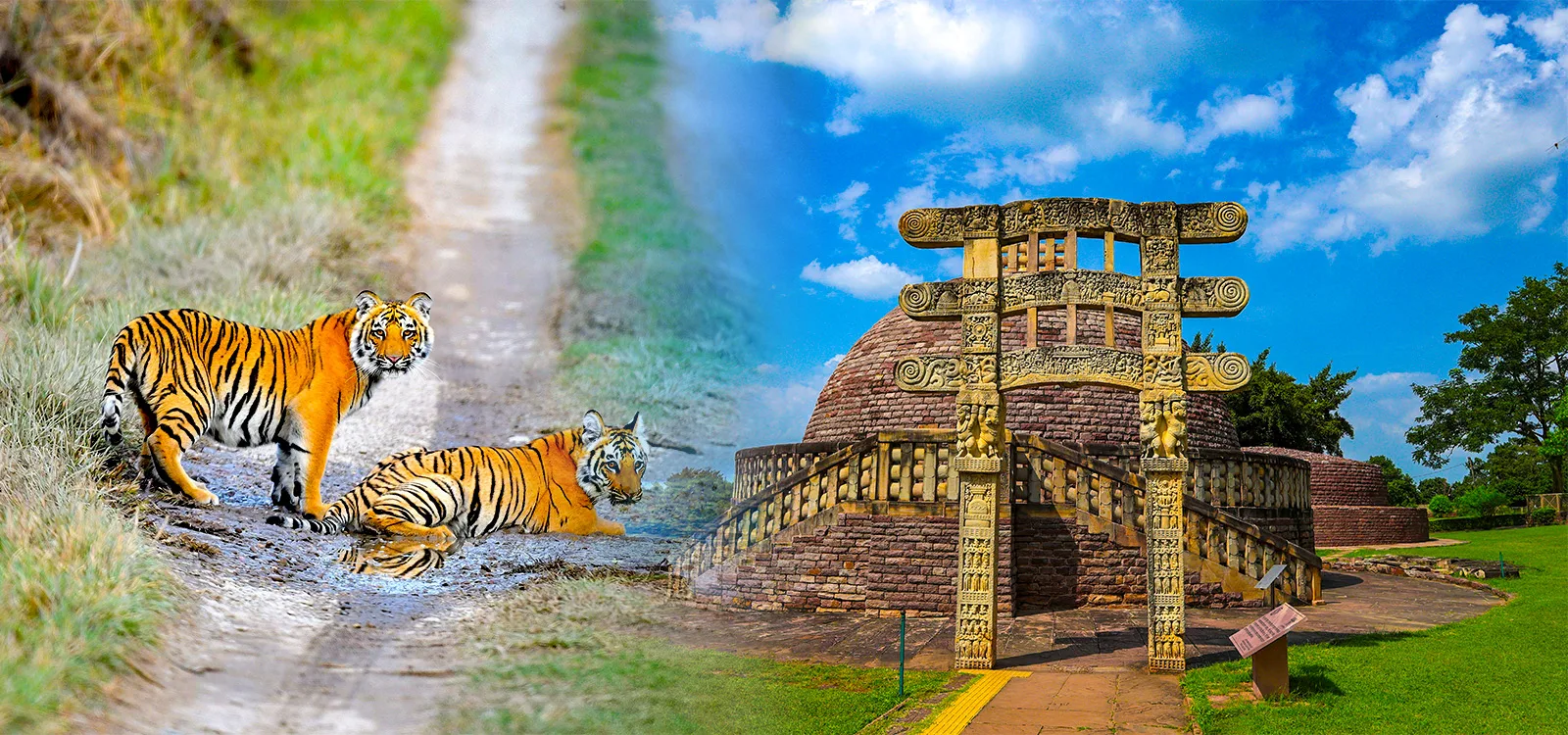 Madhya PradeshTour Packages