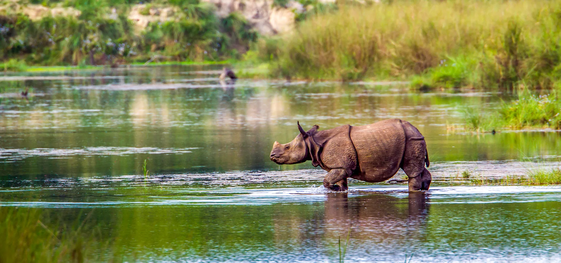 Meghalaya & Kaziranga — Shillong, Cherrapunjee & Kaziranga