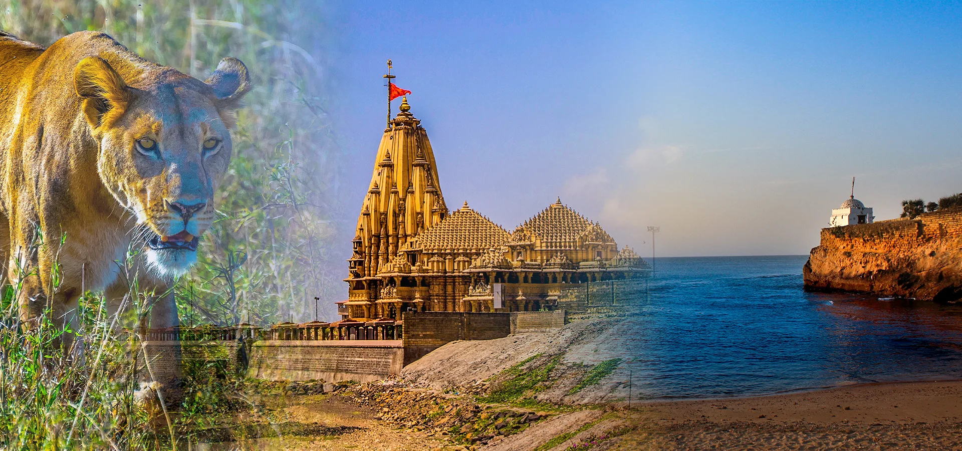 Ahmedabad, Jamnagar, Dwarka, Somnath & Gir