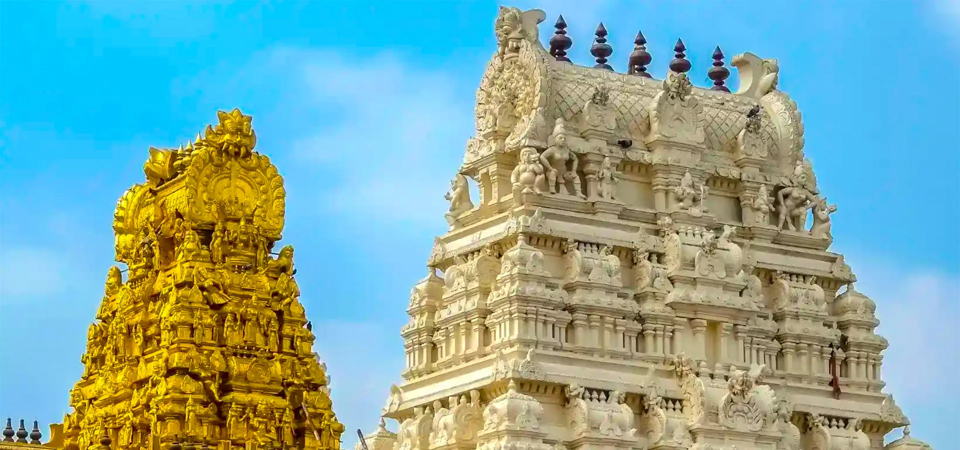 Tirupati Sacred Darshan