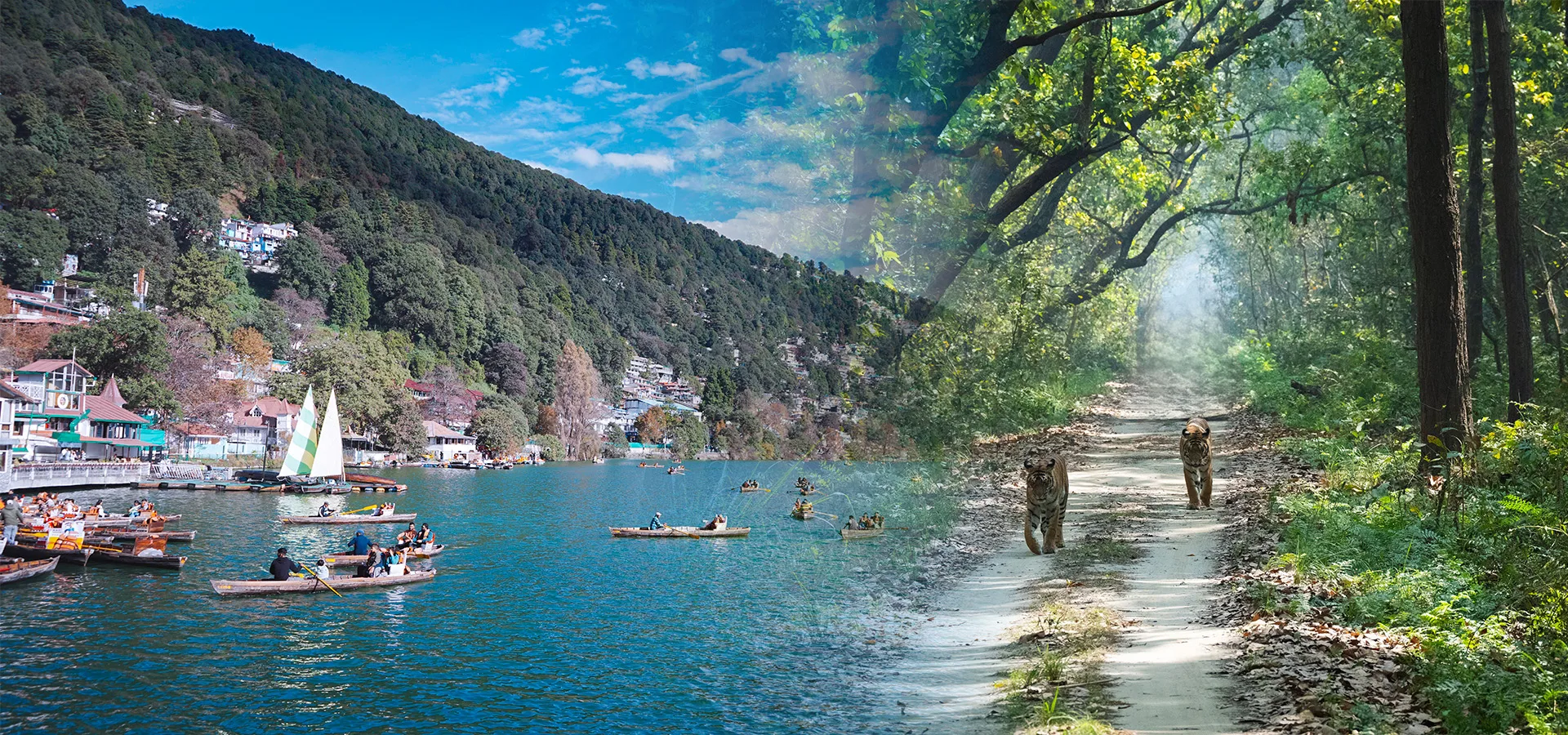Nainital & Corbett · 6 Days