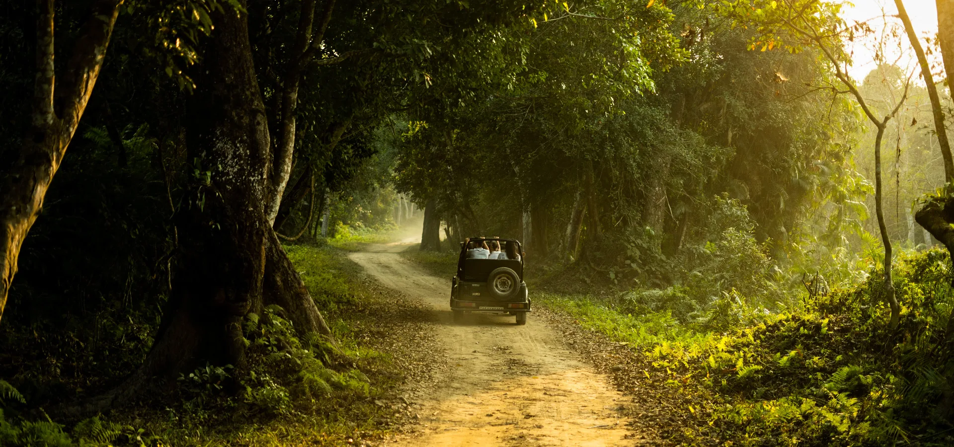 North India Wildlife Tour